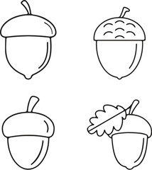 acorn oak icon vector illustration