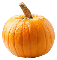 Obraz premium PNG Pumpkin vegetable plant food.