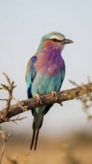 Obraz premium Tropical Bird Perched Gracefully in Natural Habitat