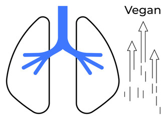 Blue bronchial structure inside lungs, arrows pointing upward for wellness, labeled Vegan. Ideal for health, plant-based lifestyle, nutrition, clean living, wellness, breath care simple flat