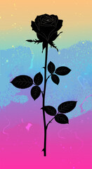Black rose silhouette on colorful gradient background