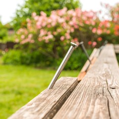 Close-up of a nail in weathered wood