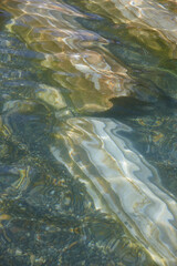 Thermal pool in archeological site of Hierapolis. Pamukkale destination, Turkey