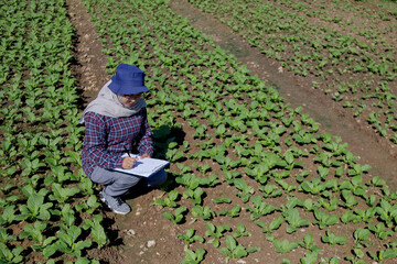 Agronomist Inspecting Crops in Organic Farm for Sustainable Agriculture