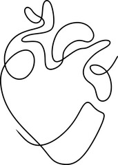 Anatomical heart icon set.Human anatomy internal organ set with brain lung intestine heart kidney liver and stomatch.Healthy Cardiovascular Organ Symbol Collection on White Background and red.