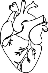 Anatomical heart icon set.Human anatomy internal organ set with brain lung intestine heart kidney liver and stomatch.Healthy Cardiovascular Organ Symbol Collection on White Background and red.