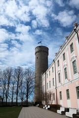 Fototapeta premium Tallinn, Estonia. Pikk Hermann is a tower of the Toompea Castle, on Toompea (Domberg) hill in Tallinn