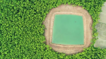 Aerial view of a square pond filled with turquoise water, contrasting against the surrounding lush green trees, Dinajpur, Rangpur Division, Bangladesh.