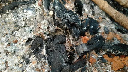 Fototapete Rund Brennholz some of the charcoal from the firewood has turned to ash  © Nur