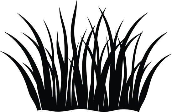 sea grass silhouette vector illustration