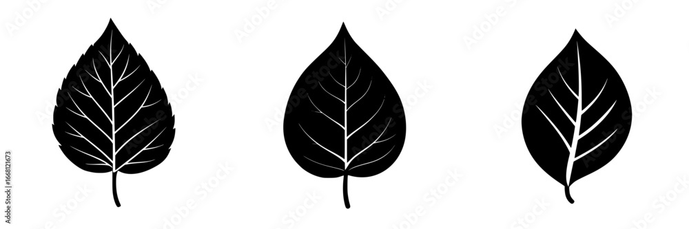 Poster various leaf shapes displaying unique silhouettes and intricate vein patterns on a plain background