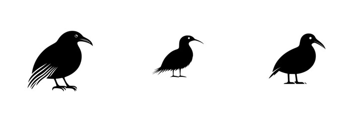 Obraz premium Silhouettes of various birds showcasing unique shapes and sizes against a minimalist white background