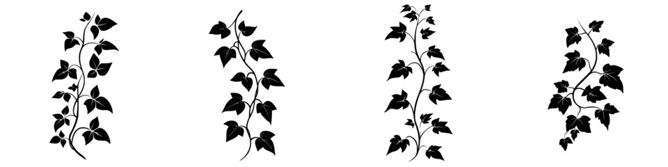 Decorative black silhouette of climbing ivy plants arranged in a pattern ideal for design and illustration usage