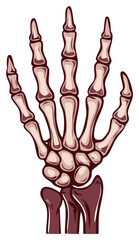 Cartoon Skeleton Hand with Fingers and Wrist Bones Anatomy Vector Illustration