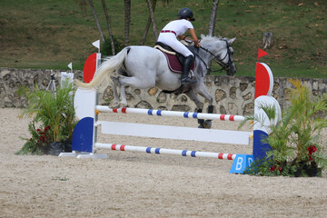Competitive Equestrian Sport