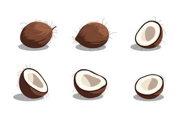 Flat vector illustration of coconuts, whole and half cut with white flesh, tropical fruit design isolated on white background