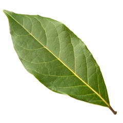 Obraz premium Aromatic dried bay leaf herb for cooking isolated on a transparent background png
