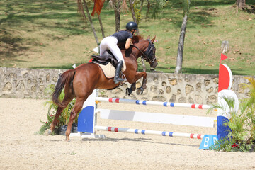 Competitive Equestrian Sport