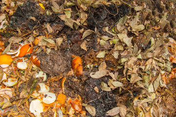 Close-up of organic waste for composting.
