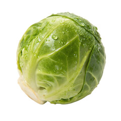 Single raw brussels sprout vegetable closeup isolated on a transparent background png