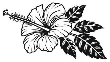Detailed line art of a hibiscus flower with leaves in black and white vector illustration style art