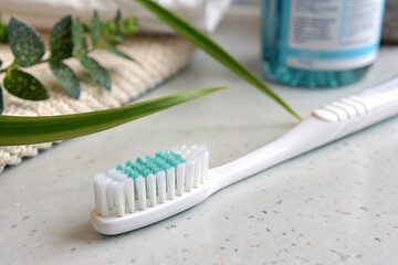 White toothbrush with green and white bristles positioned on marble countertop beside aloe plant and bathroom accessories in natural lighting.