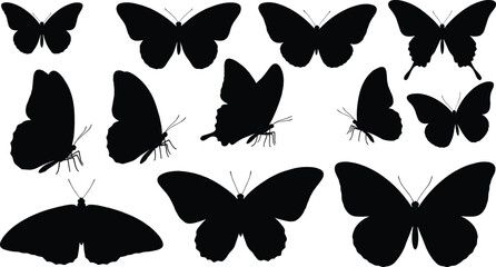 Assortment of Black Butterfly Silhouettes in Different Poses and Sizes butterflies insect © rayhan039
