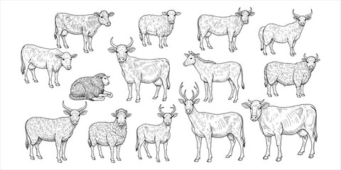 Collection of black and white line art illustrations of various farm animals and deer livestock cattle