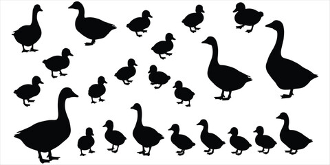Collection Of Black Silhouette Geese And Goslings On White Background ducks ducklings