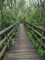 Obraz premium Wooden walkway to El Prao bird observatory in Fuentes de Nava, Palencia