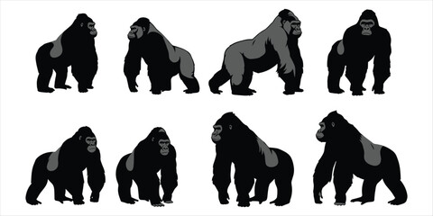 Eight black and gray gorilla silhouettes in various poses on white gorillas © rayhan039