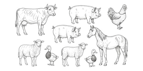 Farm Animals Sketch Collection with Cow, Pigs, Chicken, Horse, Sheep, Duck vector illustration