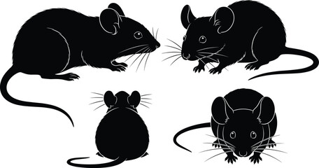 Four Black Silhouette Mice Poses On White Background Vector Illustration mouse rodent