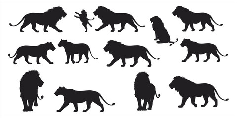 Set of black lion silhouettes in different poses on white background lions animal
