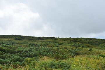 日本三景　松島　遊覧船