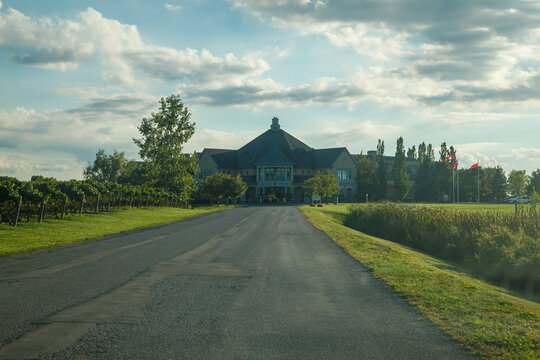 Peller Estates Winery vineyard and main house in Niagara-on-the-Lake, Ontario, Canada