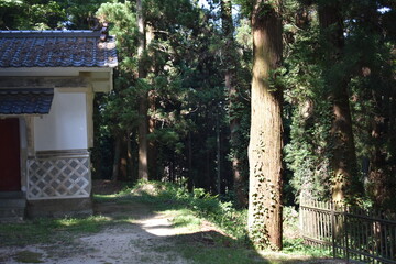 西田町鹿島大神宮の社