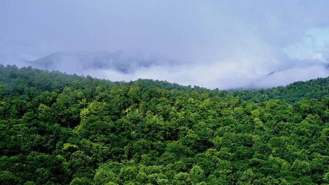 Drone footage of mist rolling through Smoky valleys.