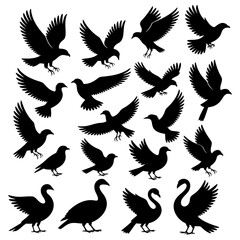 Fototapeta premium Pigeons and Swans Silhouettes. Vector Illustration