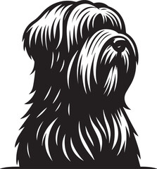 Briard Dog vector in black and white