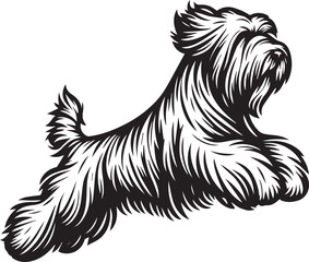 Briard Dog vector in black and white