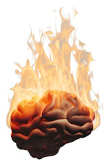 PNG Fire glowing burning bonfire.