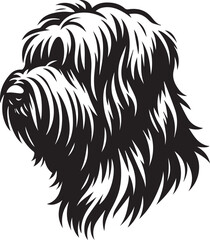Briard Dog vector in black and white