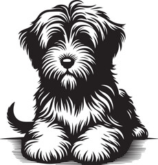 Briard Dog vector in black and white