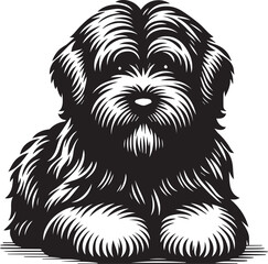 Briard Dog vector in black and white