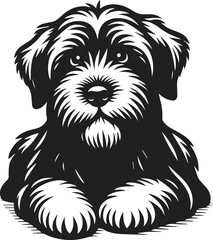 Briard Dog vector in black and white