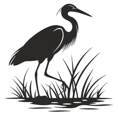 Heron standing in shallow pond silhouette