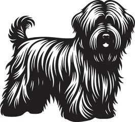 Briard Dog vector in black and white