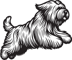 Briard Dog vector in black and white