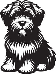 Briard Dog vector in black and white